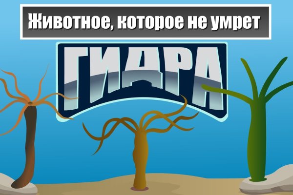 Ссылка на кракен тор магазин