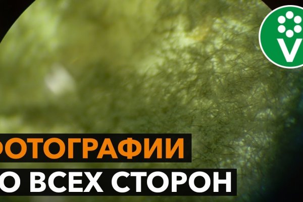 Кракен ссылка на сайт krk store com