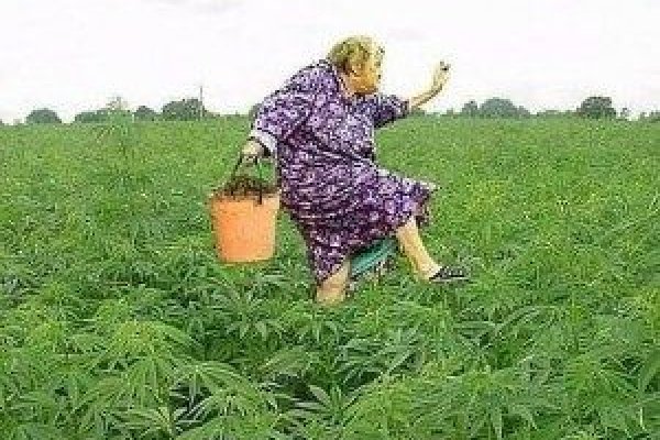 Пользователь не найден при входе на кракен
